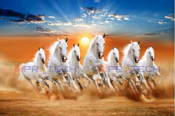 047 Seven horses with rising sun real vastu prosperity Best of21